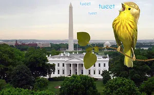 Challenge: Photoshop This Screaming Bird