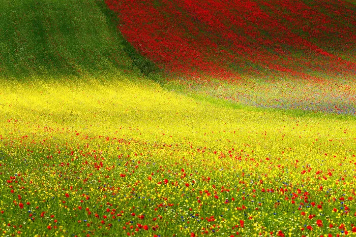 Francesco Russo, Italia (Naturaleza)