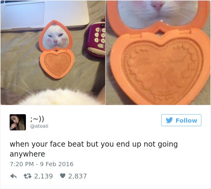 82 Hilarious Picture Tweets That Every Woman Will Relate To