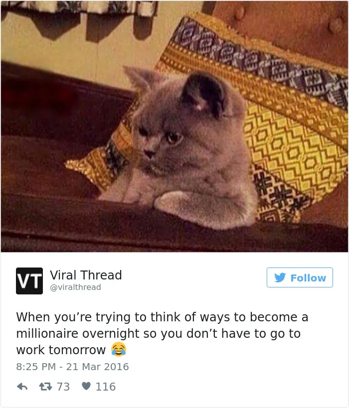 Cat meme about work showing a serious-looking gray cat with folded paws, contemplating ways to avoid work.