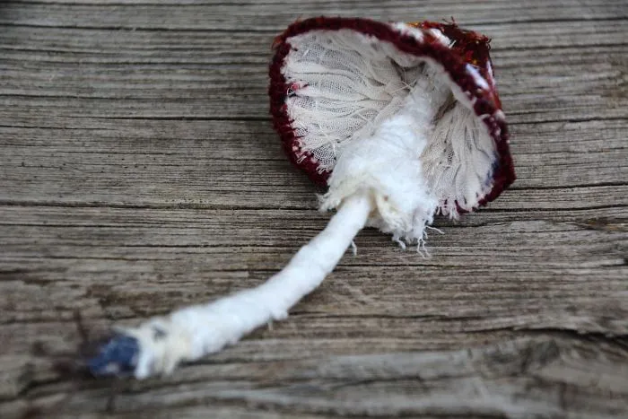I Found Amazing Thread Painted Animals On Brooches By Russian Artist