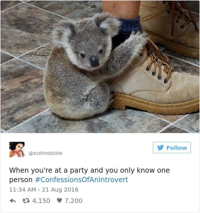 151 Hilarious Introvert Tweets That Are Worth Cancelling Your Plans For
