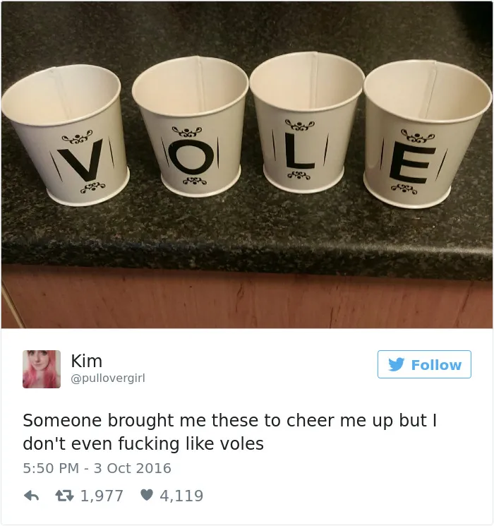 82 Hilarious Picture Tweets That Every Woman Will Relate To