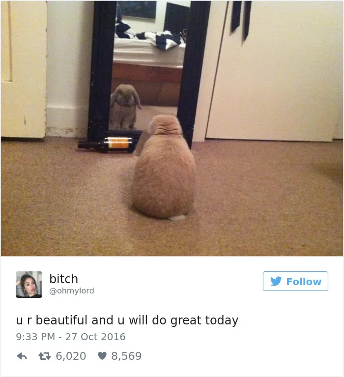 82 Hilarious Picture Tweets That Every Woman Will Relate To