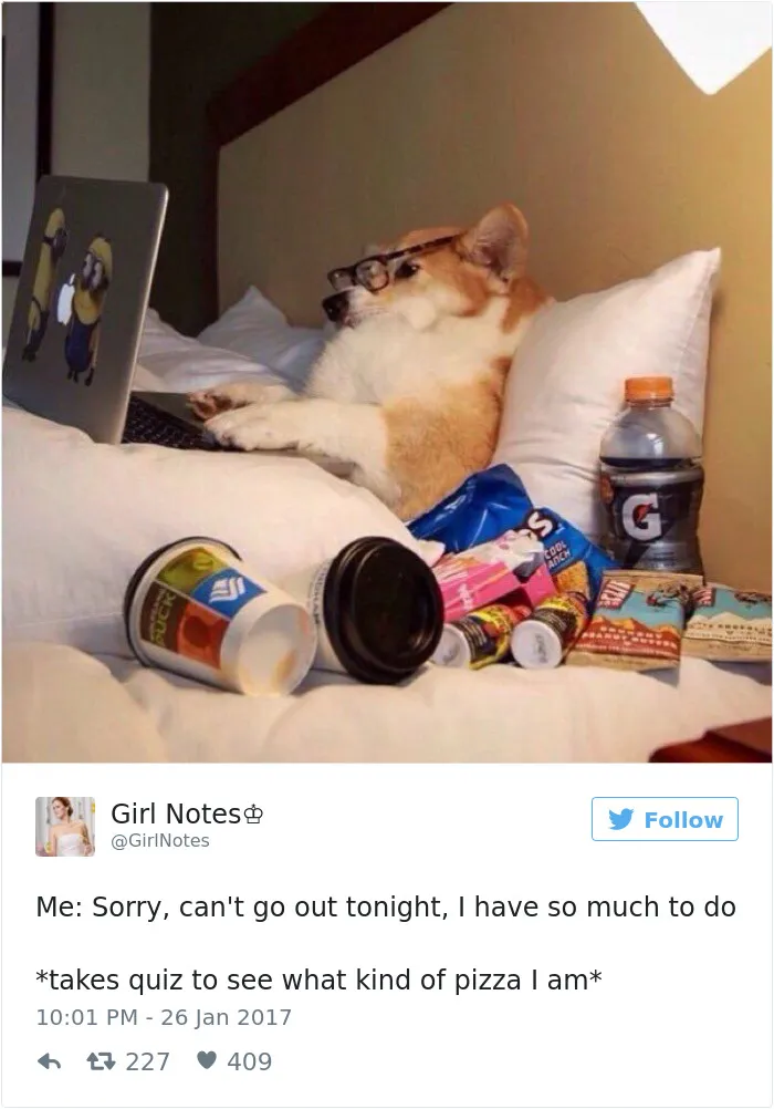 82 Hilarious Picture Tweets That Every Woman Will Relate To