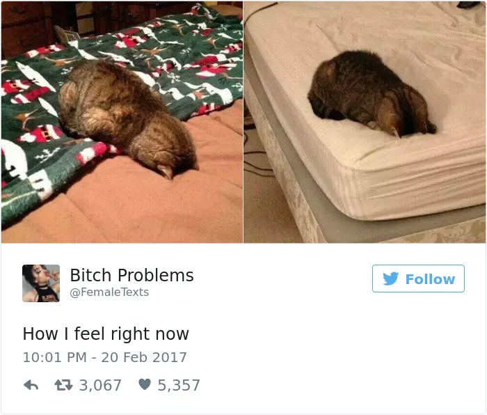 82 Hilarious Picture Tweets That Every Woman Will Relate To