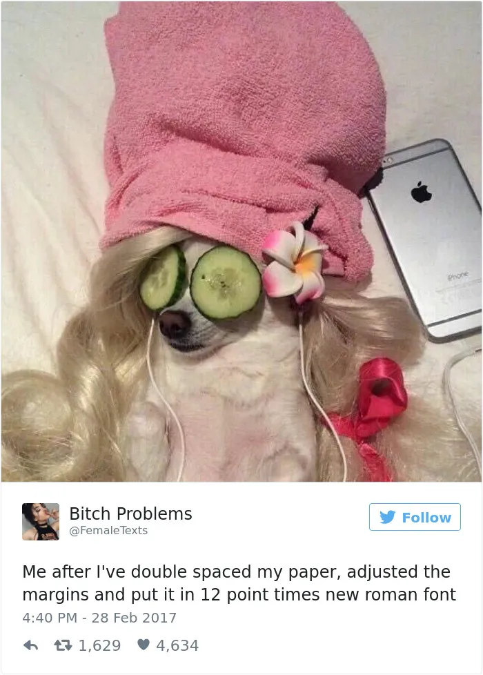 82 Hilarious Picture Tweets That Every Woman Will Relate To