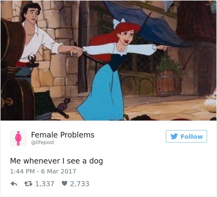82 Hilarious Picture Tweets That Every Woman Will Relate To