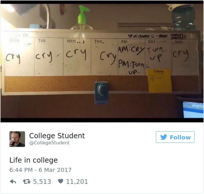 136 Hilarious Posts About College That Will Make You Laugh, Then Cry