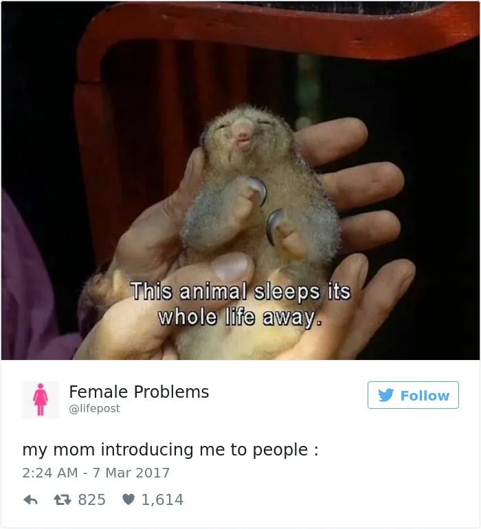 82 Hilarious Picture Tweets That Every Woman Will Relate To