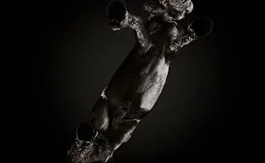 Under-Horse: I Photograph Horses From Underneath
