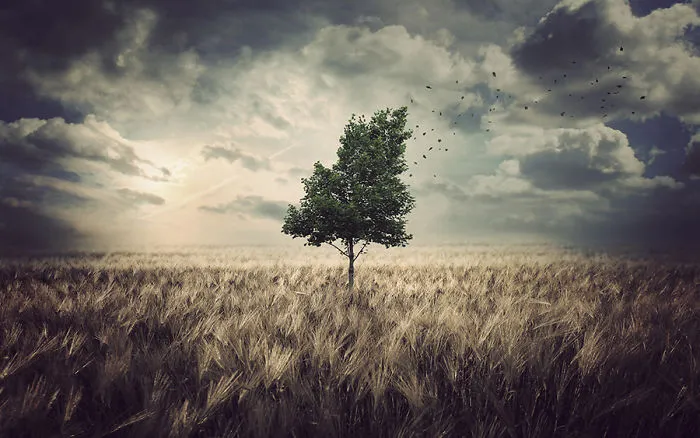 Hypnotic Worlds Of My Imagination