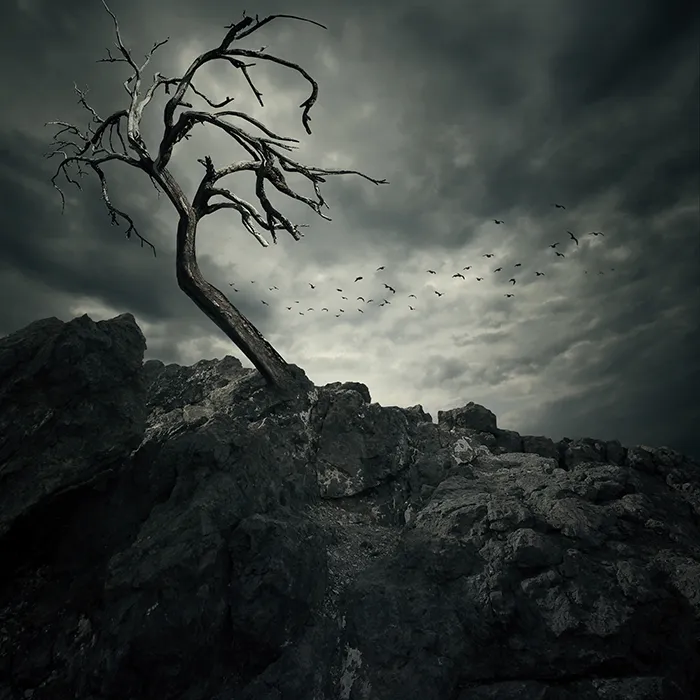 Hypnotic Worlds Of My Imagination