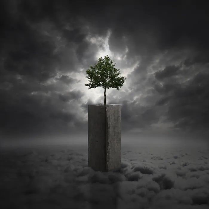 Hypnotic Worlds Of My Imagination