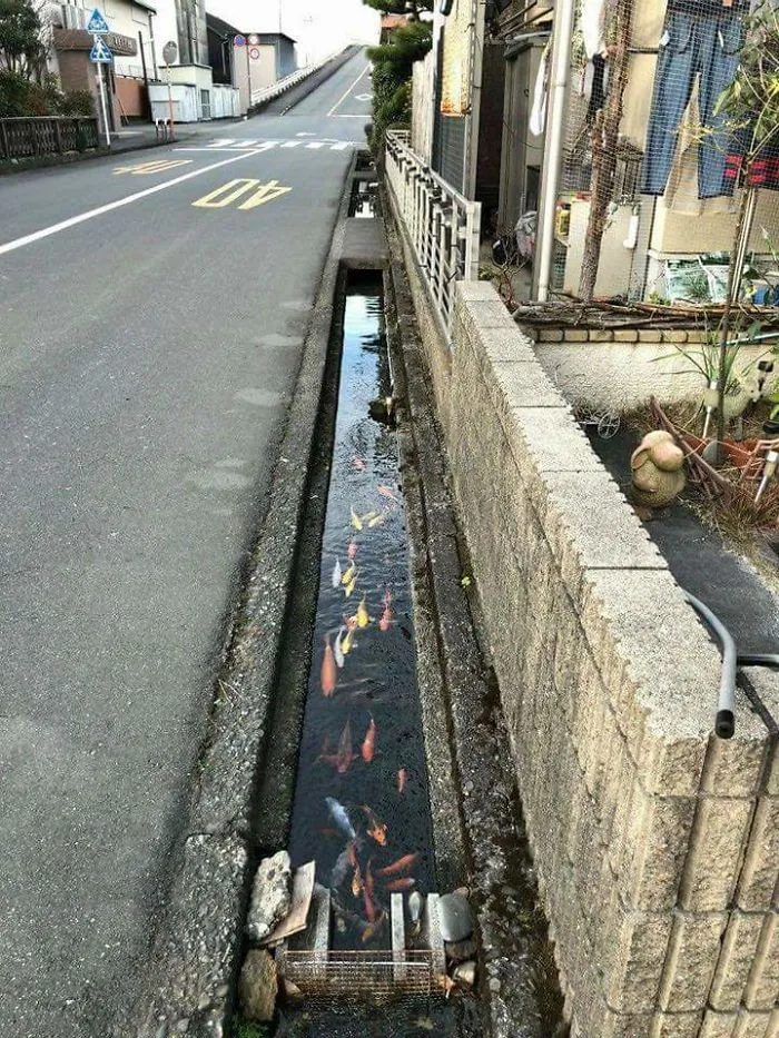 Japan Seems So Peaceful In Some Places