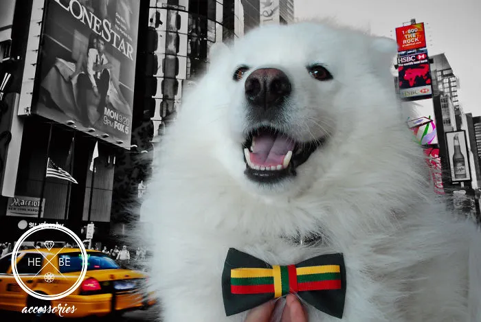 I Make Bow Ties For Dogs And Their Owners