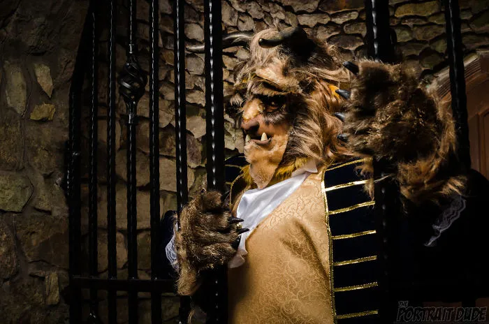 Beauty And The Beast Cosplay