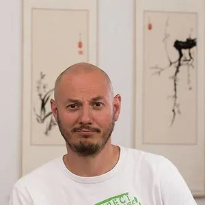 stefan socaciu