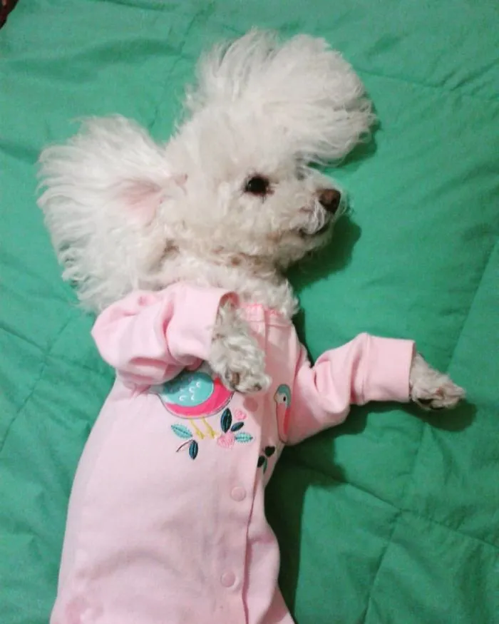 Bed Time!