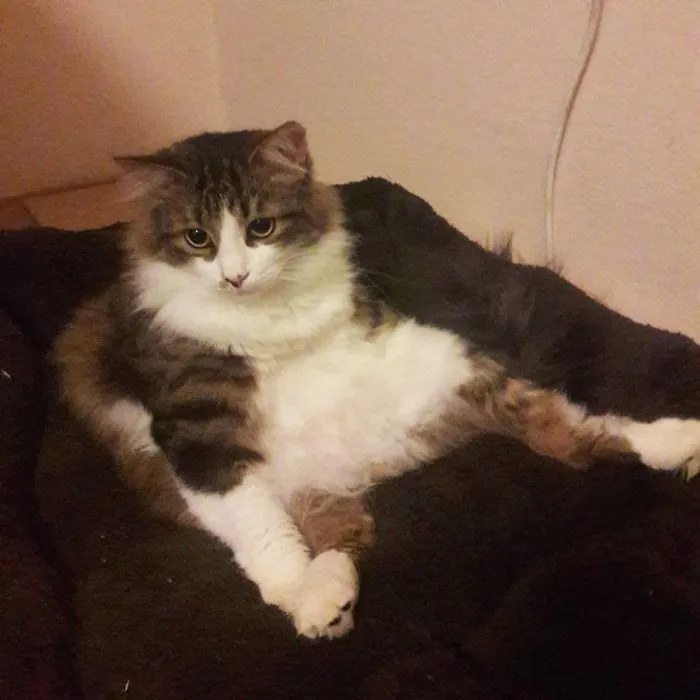 Ares Has Many Forms. One Of Them Is Liquid