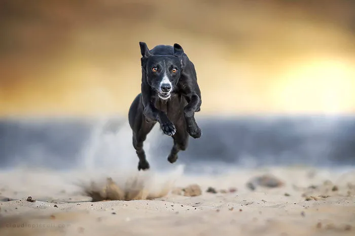 Bomb On The Sand