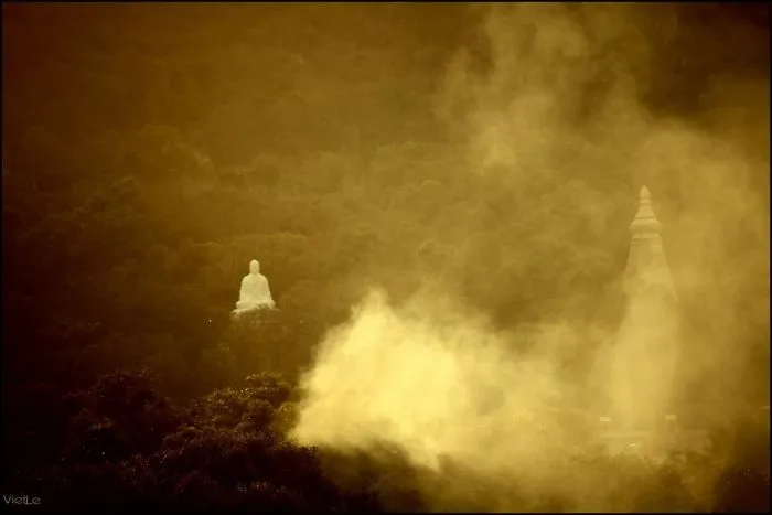 After The Fog