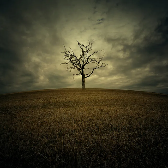 Hypnotic Worlds Of My Imagination