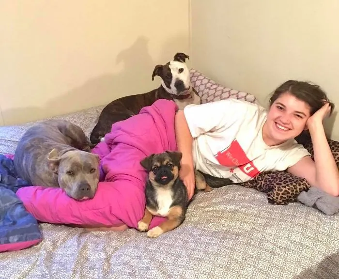 Both Of Mine (Rescues) Are Way Too Dangerous... And My Pug Mix Obviously Loves Danger! They Literally Attack Us (With Kisses) On A Daily Basis