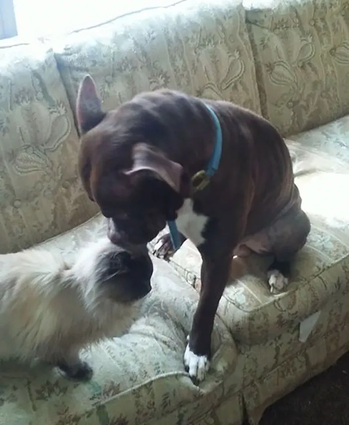 So Vicious, Omg The Carnage...