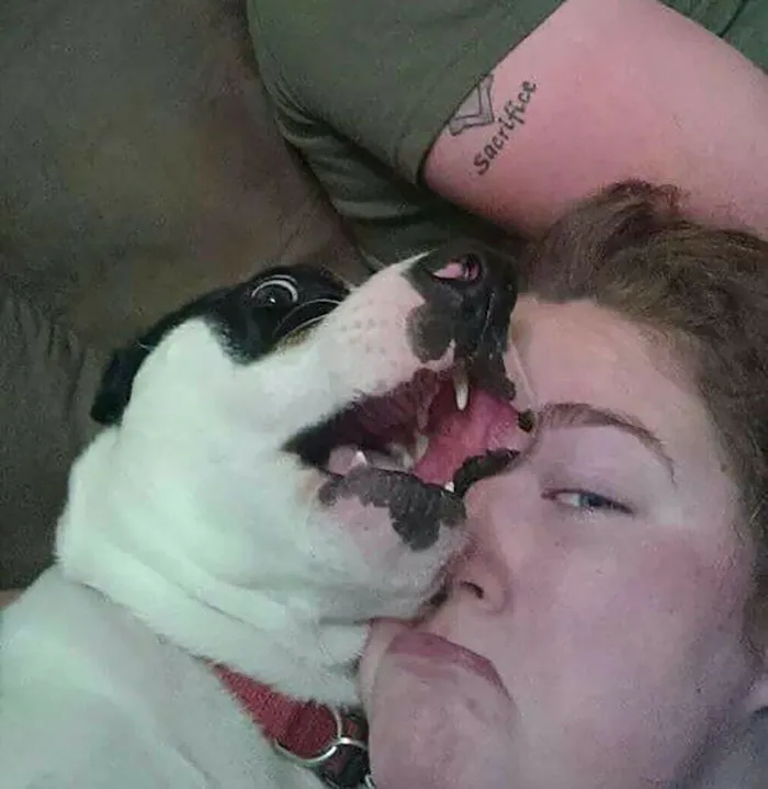 As You Can See, My Dog Often Mauls My Face. It Is A Serious Issue