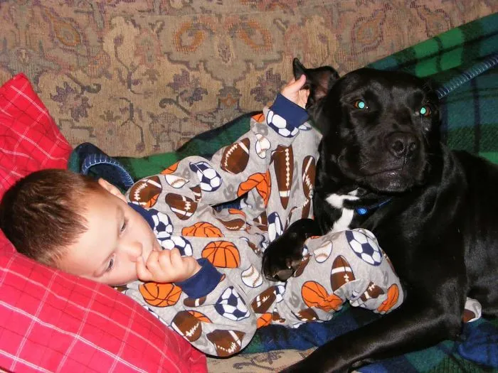 This Was 5 Years Ago. The Worst Attack Was Being Hit With That Tail- He Used To Tell Me (Through Giggles)