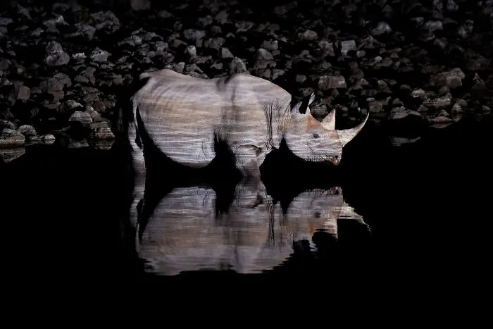 Jan Ryser, Switzerland (Open Competition, Wildlife)