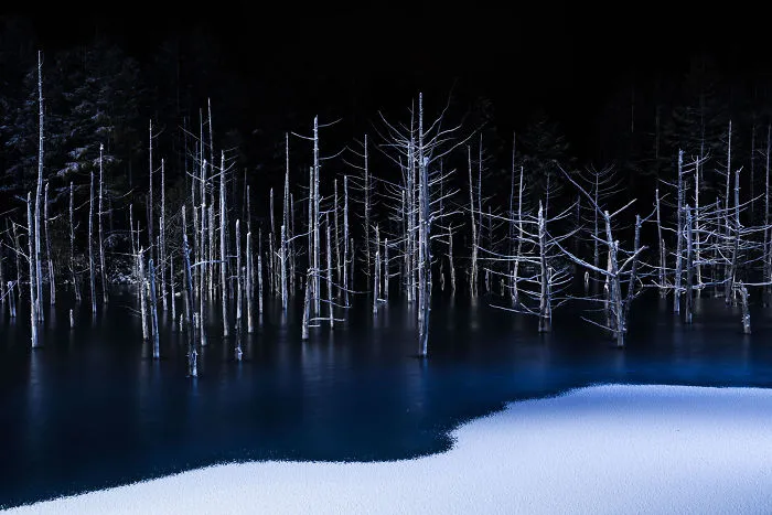 Hiroshi Tanita, Japón (Naturaleza)