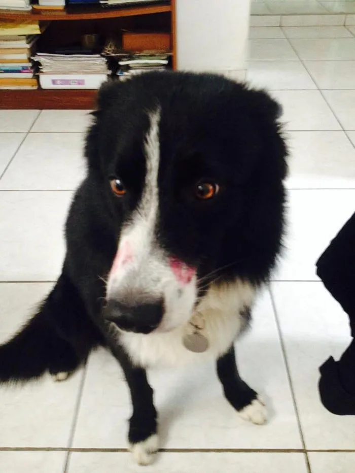 He Hates Kisses