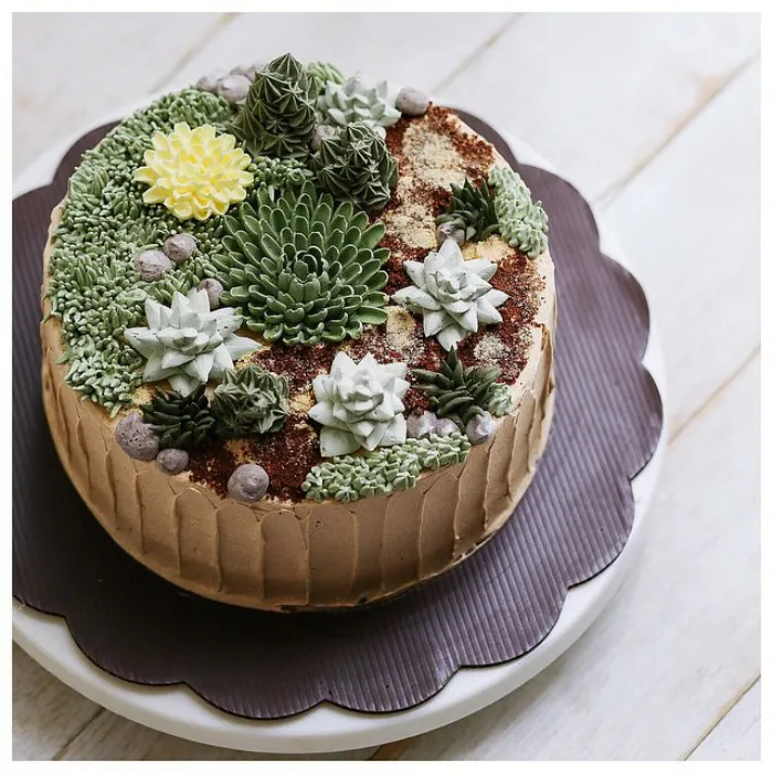 Succulent Cakes By Ivenoven Will Make Every Succulent Lover's Mouth Water