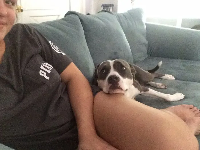So Vicious