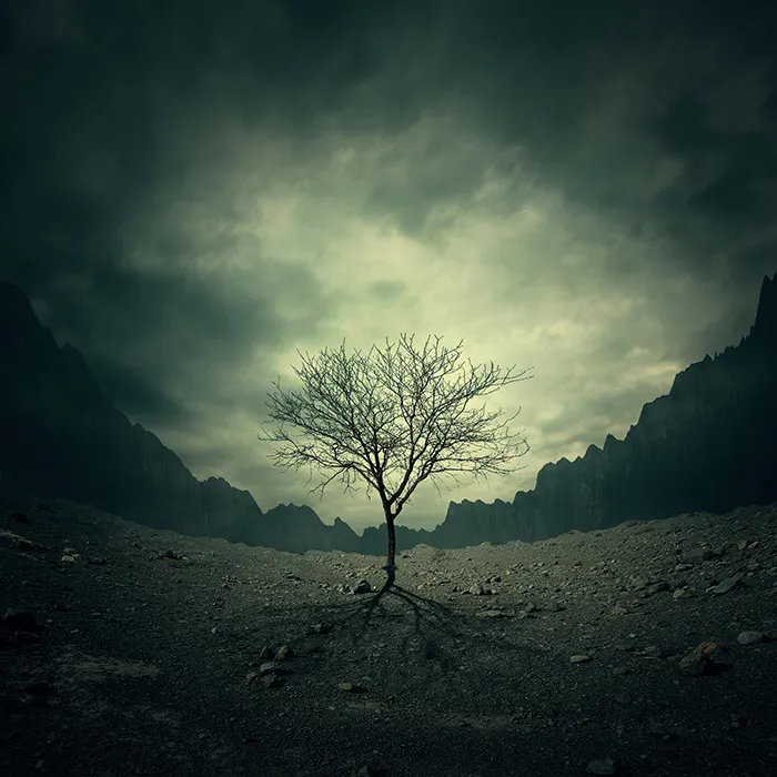 Hypnotic Worlds Of My Imagination