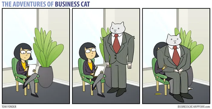 If Your Boss Was A Cat