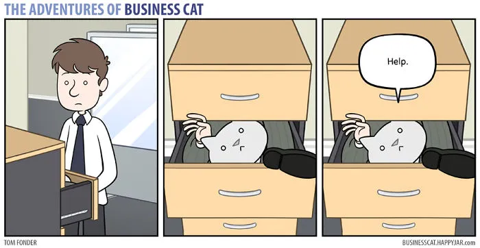 If Your Boss Was A Cat