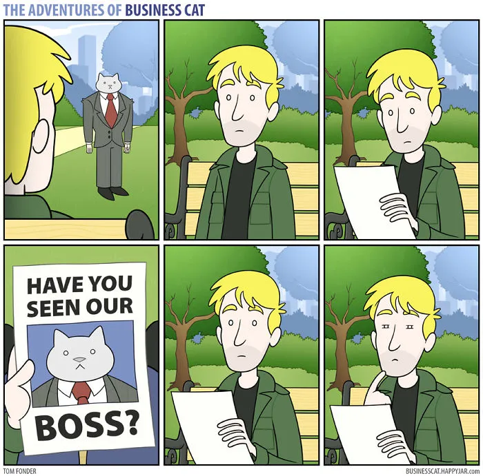 If Your Boss Was A Cat