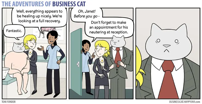If Your Boss Was A Cat