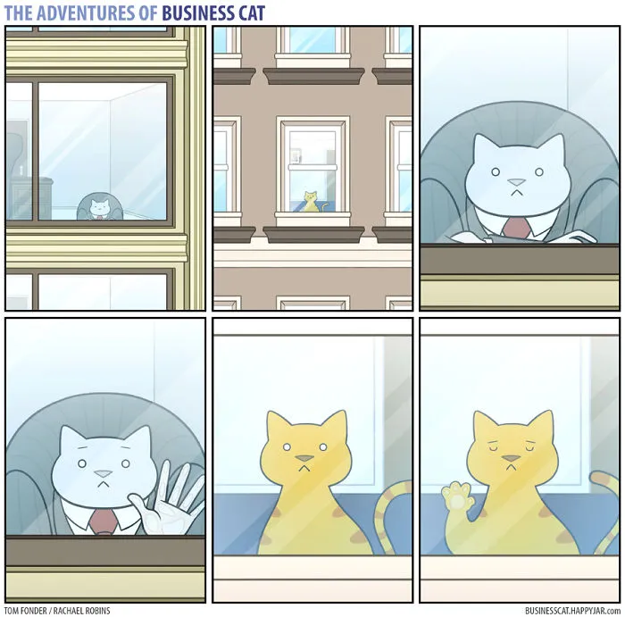If Your Boss Was A Cat