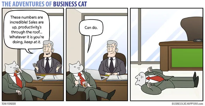 If Your Boss Was A Cat