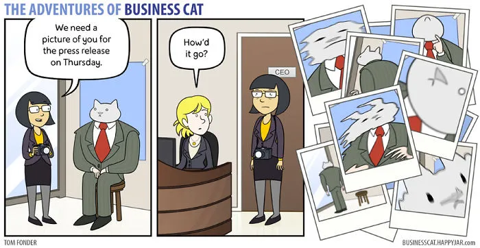 If Your Boss Was A Cat