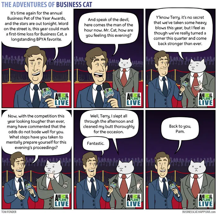 If Your Boss Was A Cat