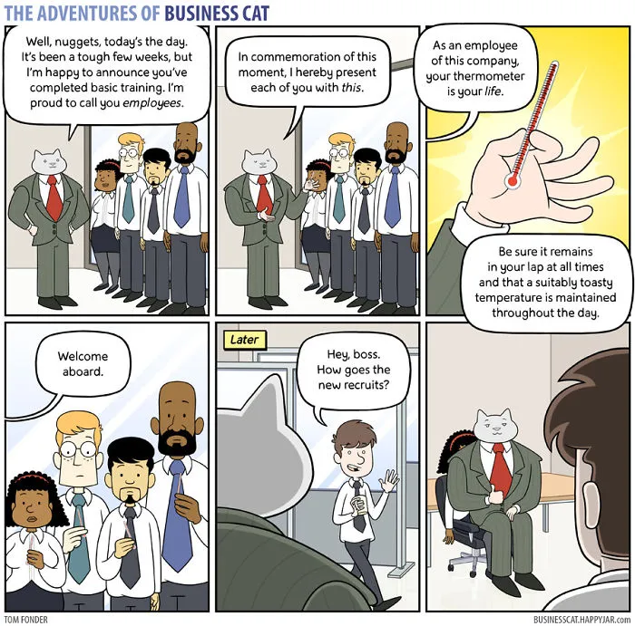 If Your Boss Was A Cat