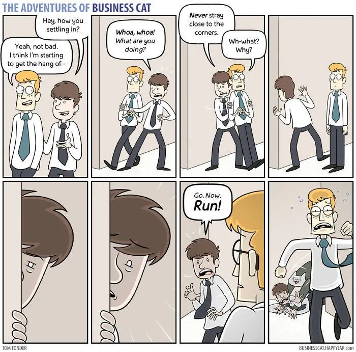 If Your Boss Was A Cat