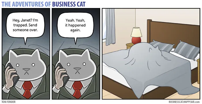 If Your Boss Was A Cat