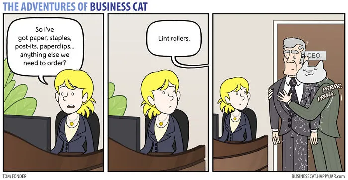 If Your Boss Was A Cat