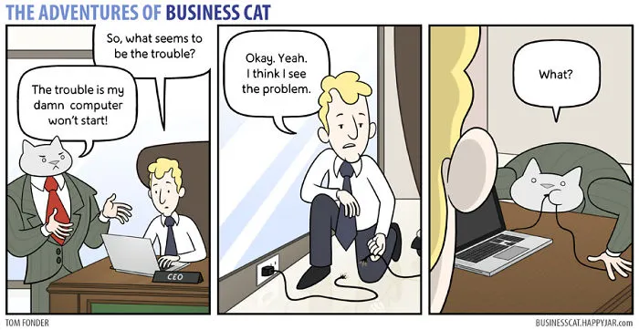 If Your Boss Was A Cat